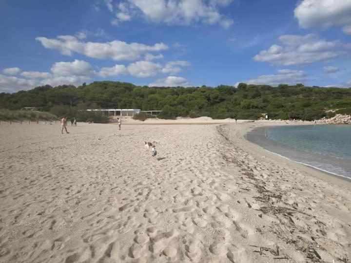 Los Vientos Son Parc Exteriör bild
